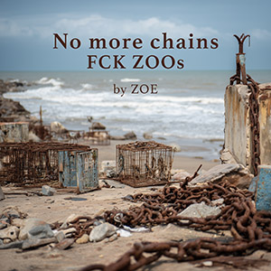 Cover no more chains